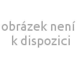 Obrázek pro produkt Decor Profi - 5 l