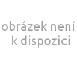 Obrázek pro produkt Dekorační omítka silikonová - zrnitost 0,2 mm - 15 kg